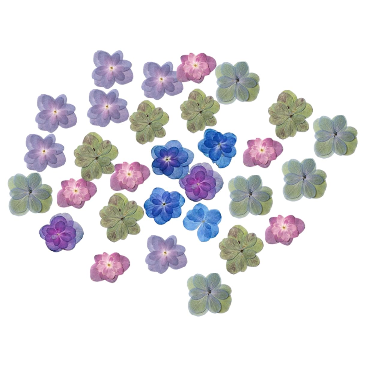 Zerodeko 5 Sätze Gepresste Ausstecher Mit Prägung Prägeausstecher Gefälschte Blumen Getrocknete Blumenarrangements Kleine Trockenblumen Für Harz Blumen Für Harzformen 30 Stück * 5