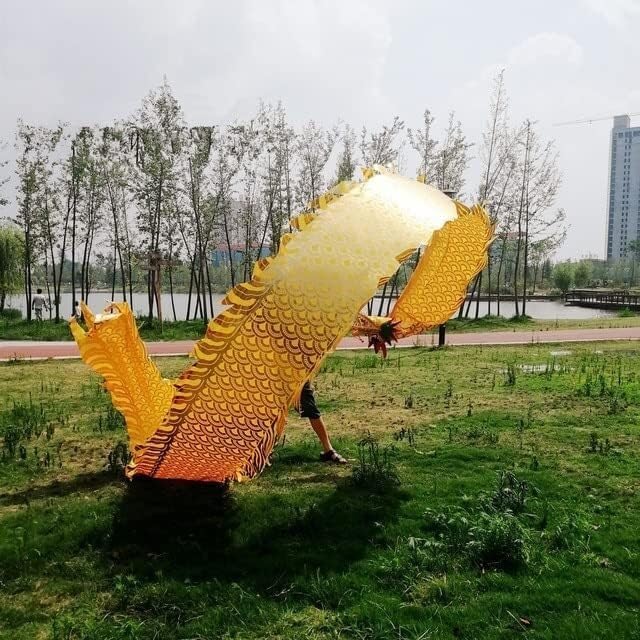 Danse de dragon de soie en plein air pour animer vos défilés du Nouvel An - 5
