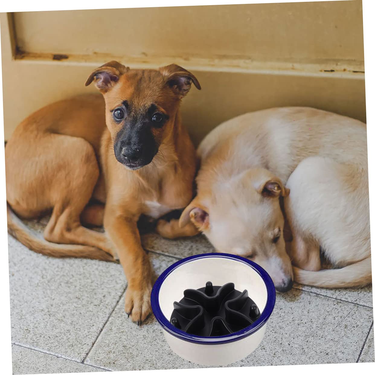 BESPORTBLE 4 Stück langsamer Zubringer Haustiere Puzzle Slow Feeder Futternapfeinsatz für Hunde Hundezubehör hundekot Hunde kotbeutel Bodenfutternapfeinsatz Futternapf für Katzen Kieselgel
