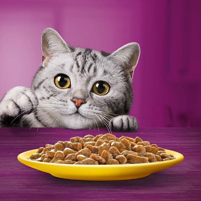 Foto 2 de 5 de Whiskas Comida húmeda para Gato, 12 Paquetes de 6 bolsitas x 50 g (72 Unidades en Total)
