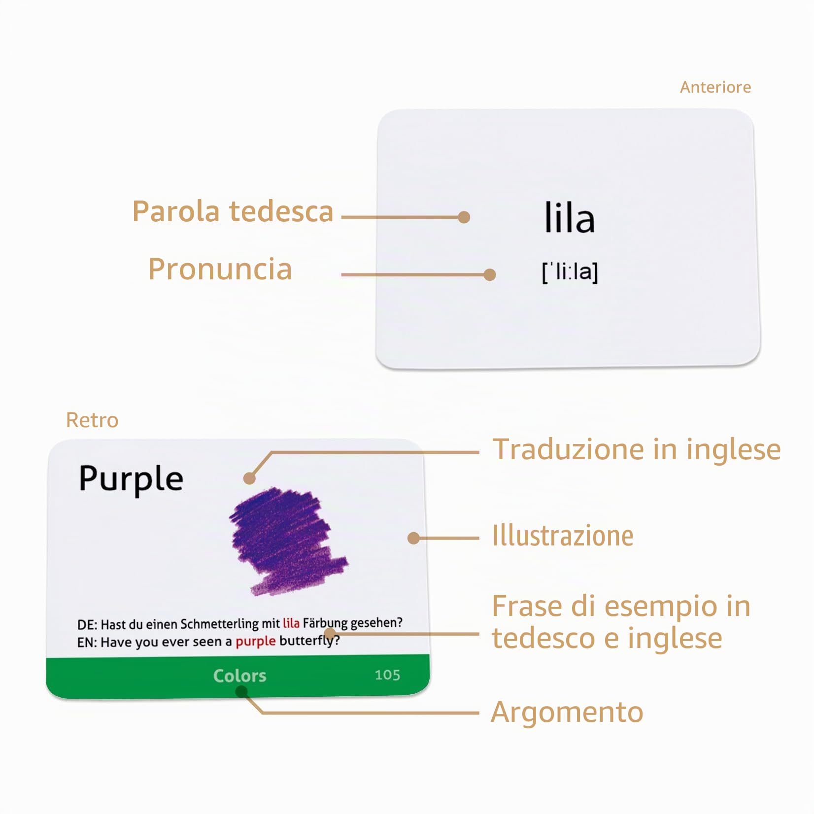 CARDDIA | Flashcard didattiche vocabolario tedesco per principianti | Immagini, frasi di esempio