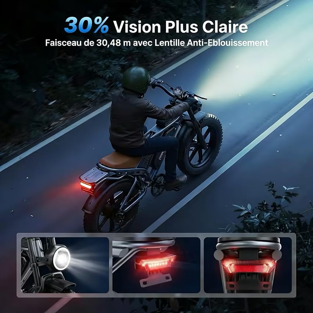DEEPOWER QS7 Vélo Électrique, Batterie Amovible 48V 60Ah/35Ah/20Ah, Autonomie 110-250KM, Moteur 120 N·m, Pneu Gras 20'' X 4.0, 7 Vitesses, Suspension Hydraulique Complète