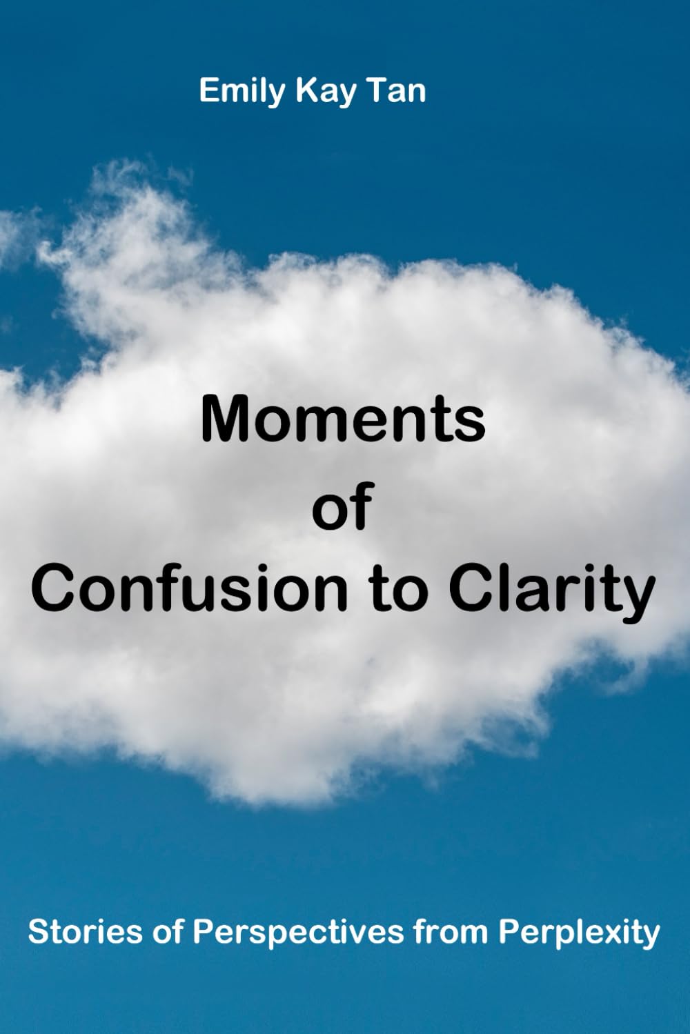 Moments of Confusion to Clarity: Stories of Perspectives from Perplexity