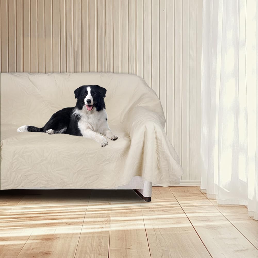 DUJUIKE Copridivano impermeabile, Copridivano antigraffio, Copridivano impermeabile 3 posti per gatti, Copridivano protezione cani e gatti, Copridivano protezione mobili (Bianco Avorio, 180 x 260 cm)