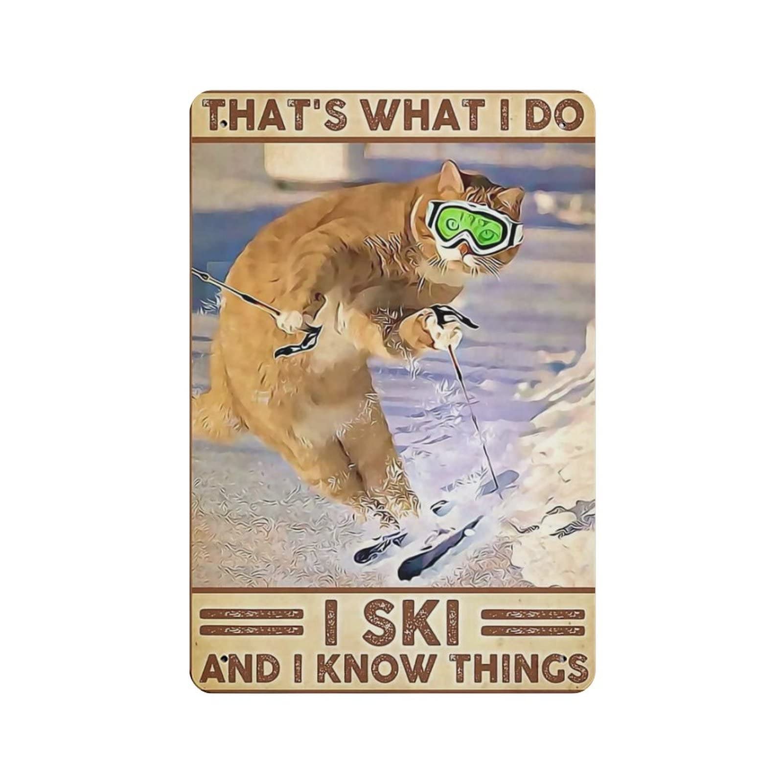 AOOEDM I Ski And I Know Things Metal Signs for Garage Man Cave Bar Kitchen Coffee Tin Sign Nostalgic Wall Decor Signs Vintage Retro Poster
