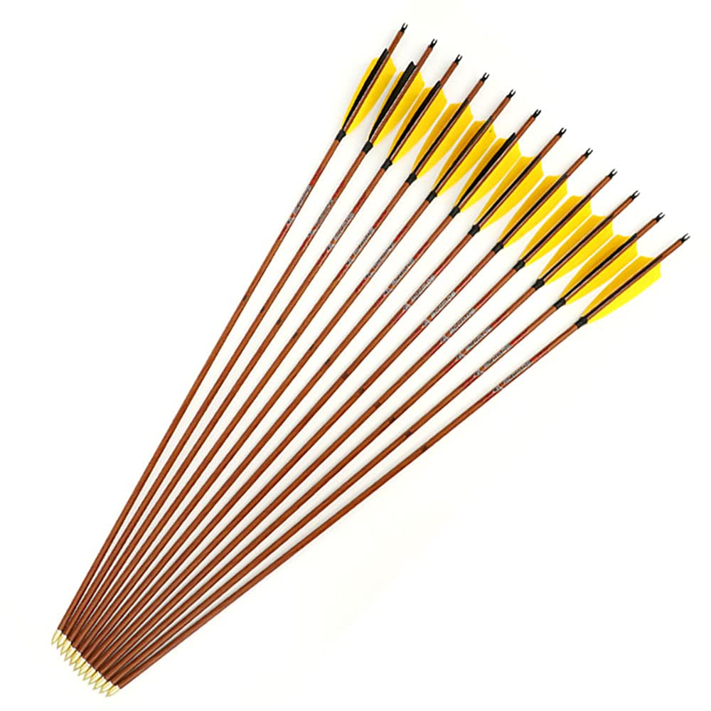 Spine 500 Flèche 32 Pouces Flèche Flèches Carbone Flèche Cible Flèche de Chasse Arc à Poulies Arc Classique Adulte Jeunesse Tir à l’Arc Entraînement 12pcs comme Le Bois