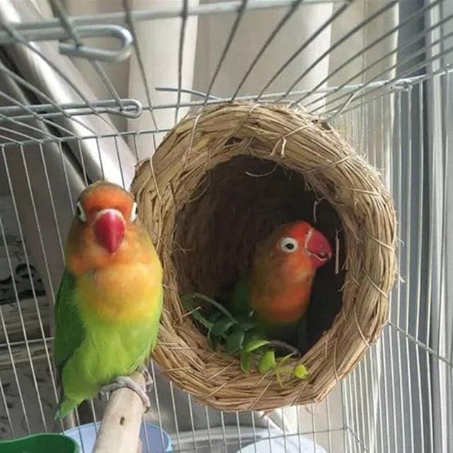 Foto 2 de 7 de Lpitoy Pájaros Nido De Pájaros Jaula De Paja Natural Loros Hechos a Mano Pájaros Mascotas Casa Dormitorio…