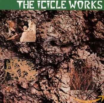 The Isicle Works　アイシクルワーク　直筆サイン入り　レコード The Isicle Works アイシクルワーク 直筆サイン入り レコード