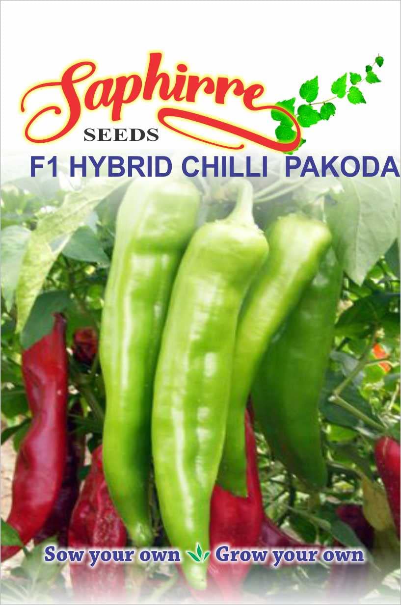 Saphirre Seeds Chilli Pakoda Mirch Hybrid Seeds (60+ Seeds) (B09XHRX9SX) Amazon Price History, Amazon Price Tracker