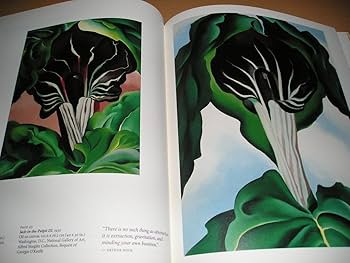 Amazon.co.jp: 洋書 Georgia O'Keeffeジョージア オキーフ 絵画作品集