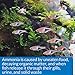 API AMMONIA 130-Test Freshwater and Saltwater Aquarium Water Test Kit