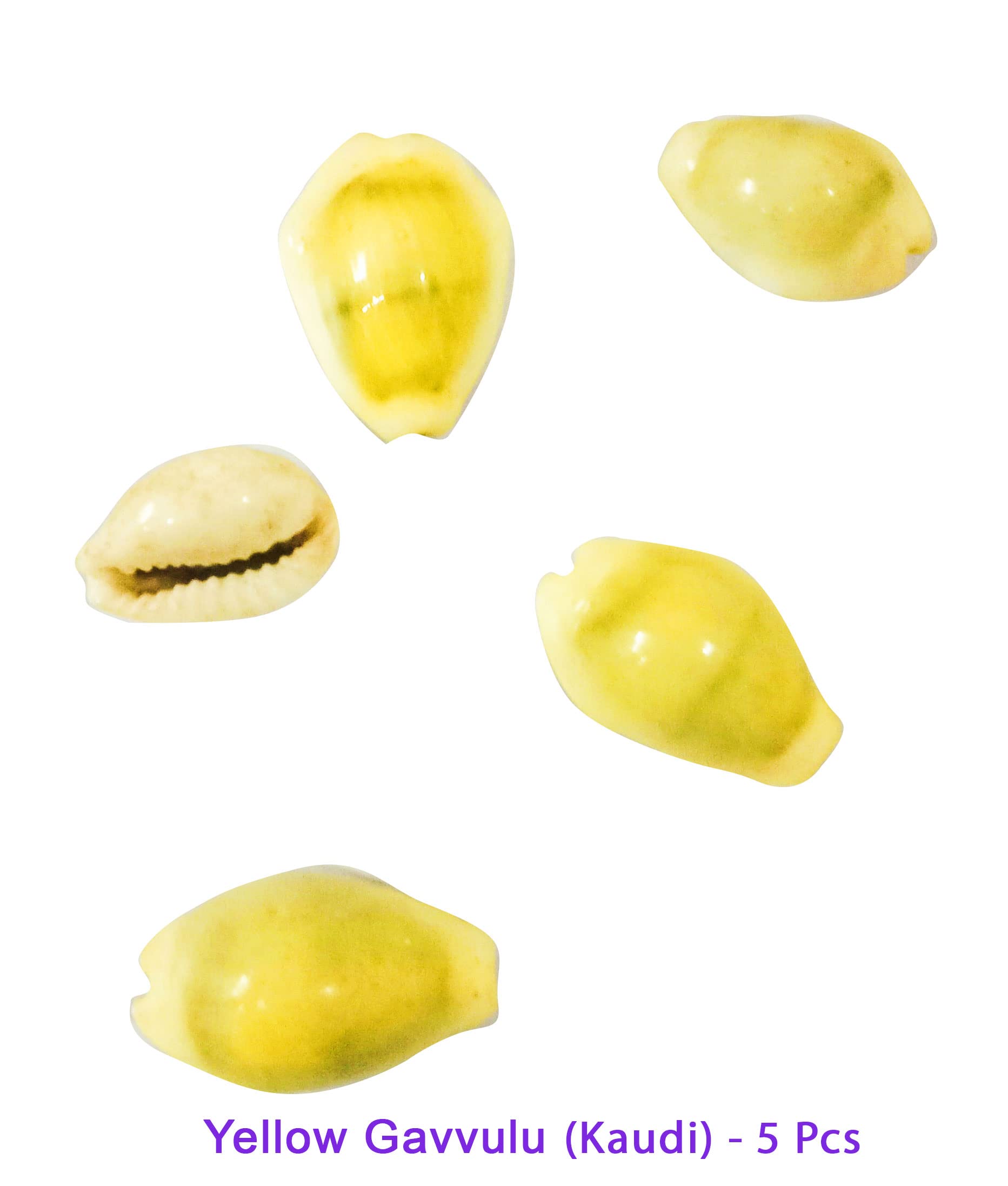 Pooja Ghar Gurui Laxmi Devi Kit Yellow Kaudi 5, Gomti Chakra 5Pcs, Laxmi Paduka 1 Set Moti Shankh 2 Pcs, Velvet Aasan 1 Pcs for Puja 4