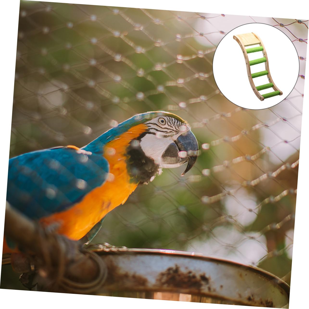 Wellensittich Holzleiter Kletterspielzeug für Vogelkäfig 2 Stück | Holz und Edelstahl, Khaki, Zubehör für Budgerigar, zum Klettern und Nagen