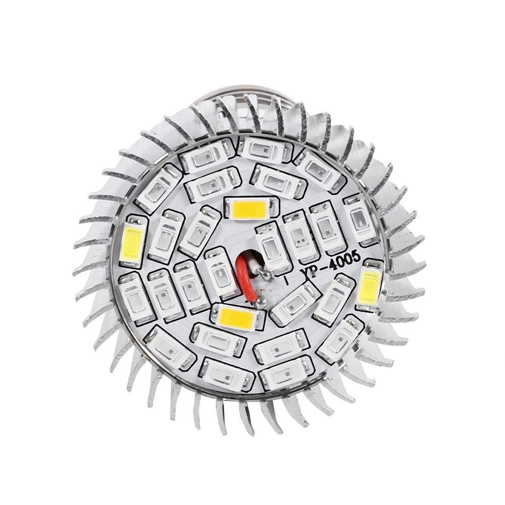 Zerodis LED Coltiva la lampada, 5W E27 Pannello ad Alta Potenza Spettro Completo 28 LED Lampada per Coltivazione Indoor Coltiva la lampadina per Serra Pianta Pianta in Vaso fiori