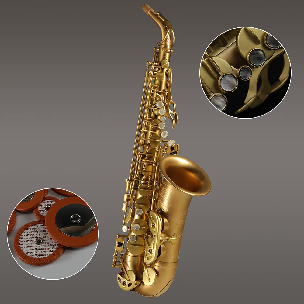 Rollins Saxophone alto RSA-X7-II, E flat Selmer 54-Key,Matière laiton,cuivre nu