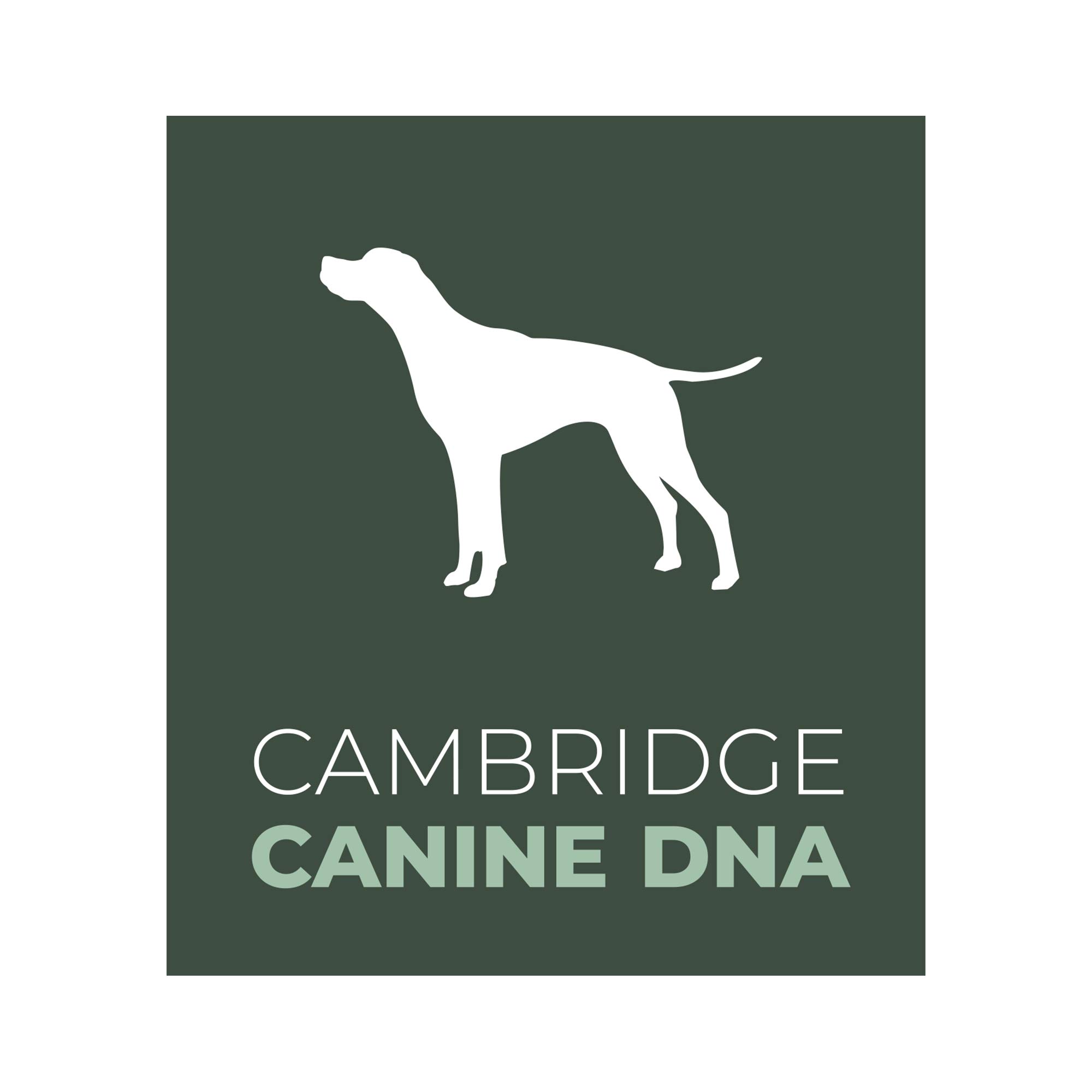 Cambridge Canine DNAPet Allergy Test - Non Invasive