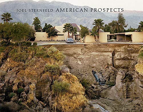 Télécharger Joel Sternfeld: American Prospects (Revised Edition) PDF Ebook En Ligne