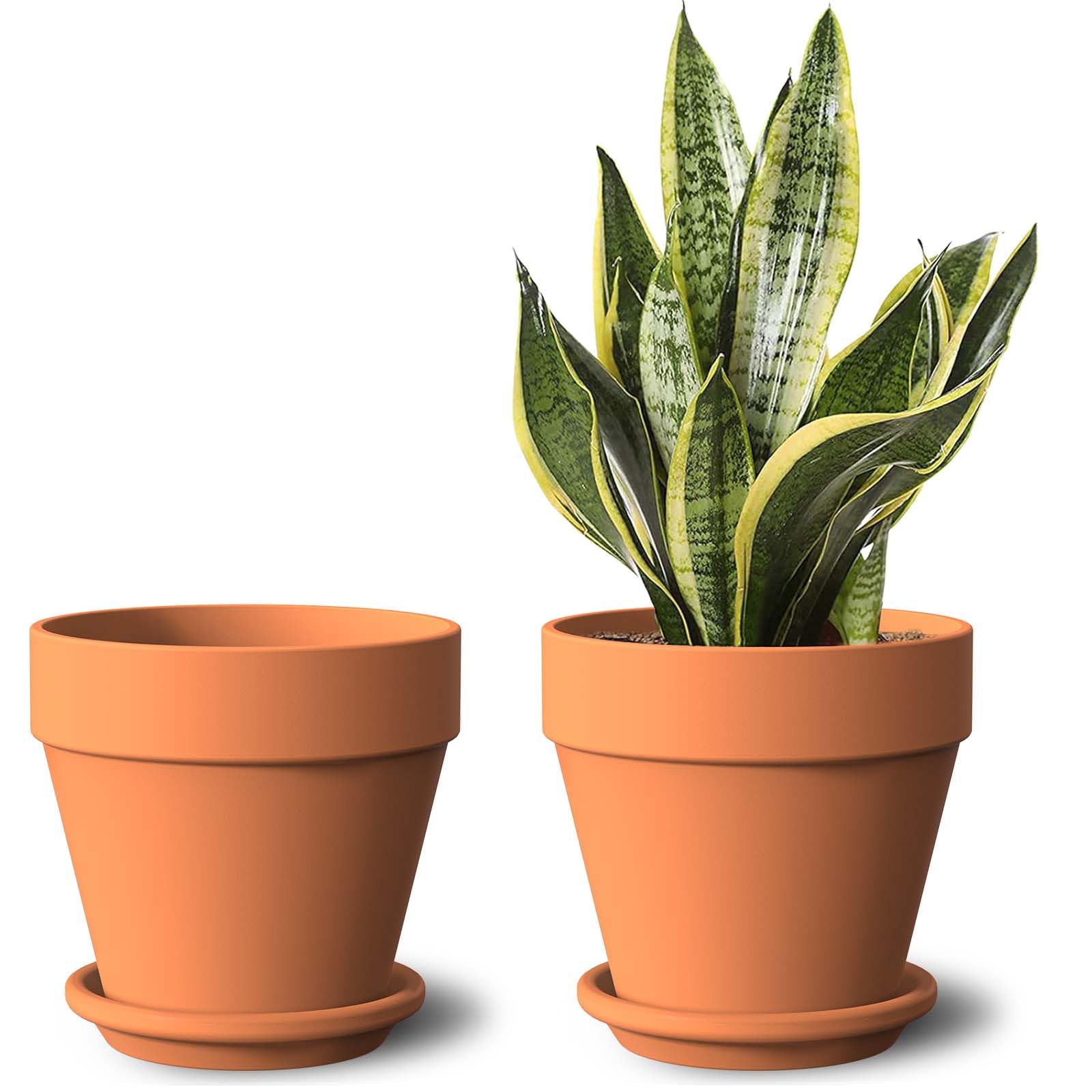 2 Pack Plant Pots for Flowers Terracotta 8 Inch, Large Planter Flower Pot Indoor with Drainage Holes and Saucers for Plants, Flowers, Succulents and Cactus, Terra Cotta