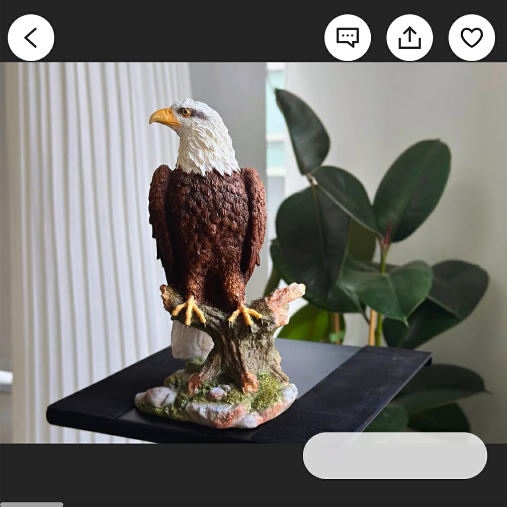 Amazon.co.jp: ノーブランド品 ユニークな樹脂製の鷲の像は強さとを