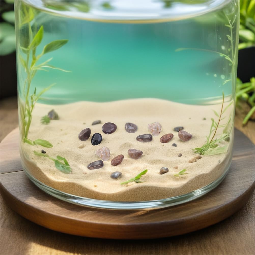 Ciottoli Naturali Per Acquari Piccoli Ciottoli Levigati Per Vasi Da Giardino Composizioni Bonsai Riempitivi Per Piante Grasse Decorazioni Per Fontane