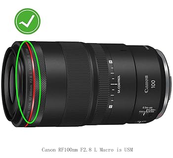 Canon - yamaさん専用　Canon RF 100mm F2.8 L MACRO IS Canon RF 100mm f/2.8L Macro IS USM Lens