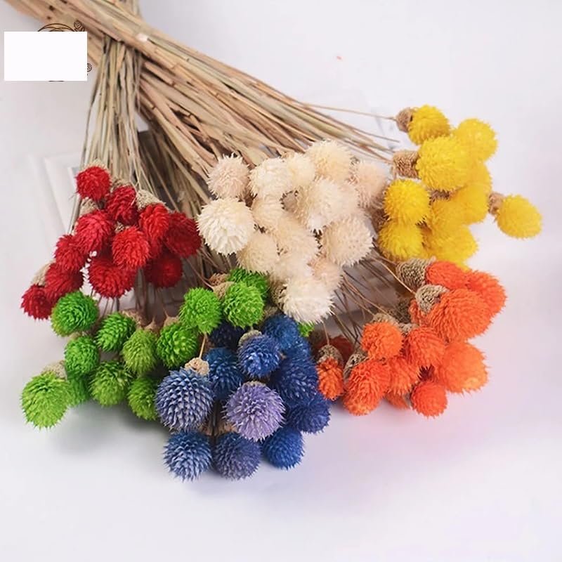 15 Pzs Ramo de Flores Secas Naturales Decoración Navideña miniatura 3