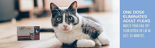 Miniatura 4 de CAPACTION Tratamiento oral de pulgas de acción rápida para gatos (2-25 libras), 6 dosis, 11,4 mg