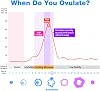 Easy@Home 40 Ovulation Test Strips and 10 Pregnancy Test Strips-Width of 5mm-Powered by Premom Ovulation Predictor iOS and Android App