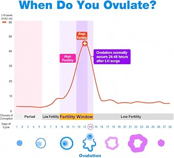 Easy@Home 40 Ovulation Test Strips and 10 Pregnancy Test Strips-Width of 5mm-Powered by Premom Ovulation Predictor iOS and Android App