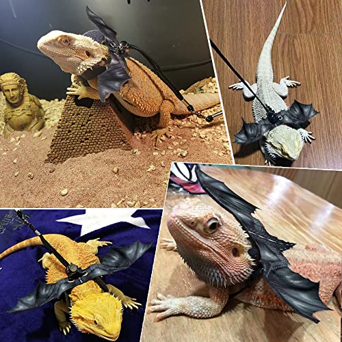 New Lizard Leash and Bearded Dragon Wings, Reptile Hammock, Bearded Dragon Hat & Bowtie and Lizard Skateboard Suitable… - Image 6