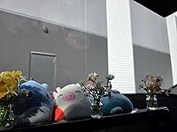 Review Image by Sky Sky