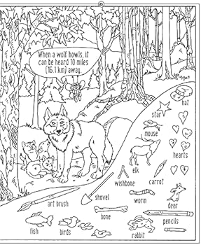 hidden picture puzzles in the forest 50 seek and find puzzles to solve and color happy fox books 400 animals and secret objects to find fun facts about nature and coloring pages for kids