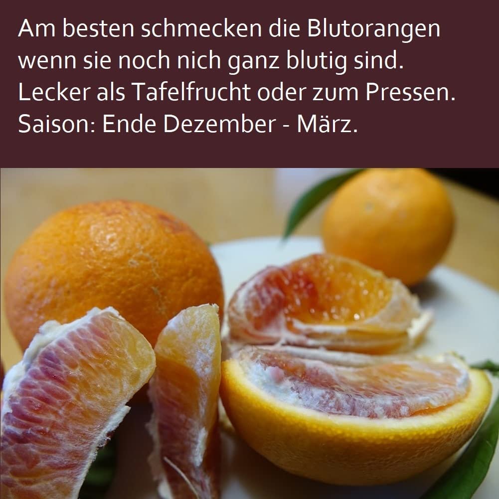 ARISTOS Griechische Blutorangen Moro | Saftig Süß Säuerlich | Frische Ernte aus Griechenland (5 KG)