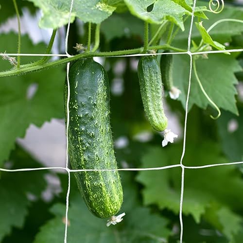 Miniatura 5 de Red enrejada de 6.5 x 20 pies para tienda de cultivo de 6 x 6 pulgadas para plantas trepadoras, red de cultivo interior y exterior para frijoles,