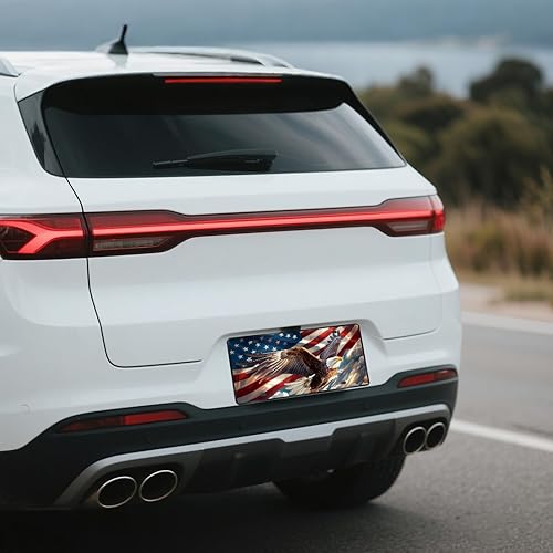 Miniatura 9 de Cubierta de matrícula con temática de águila, accesorio de decoración de automóvil de metal de 6 x 12 pulgadas, diseño de animales, cubierta de