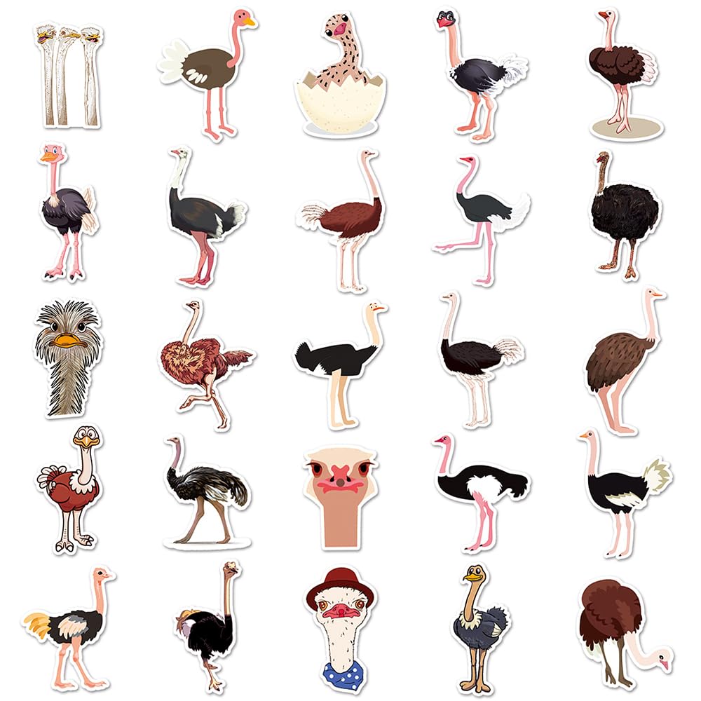 Vibrant Peacock Vinyl Stickers, 50 PCS Waterproof Illustrated Animal Decals for Laptops Scrapbooking, Journals, Notebooks - Image 2