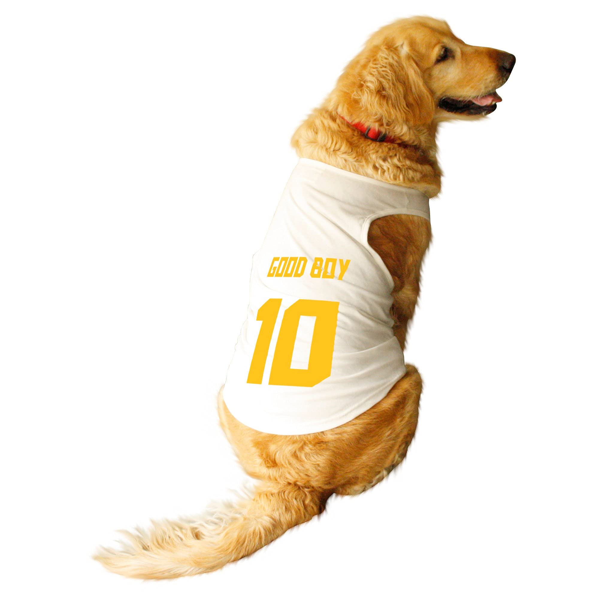 See full amazon price history chart for Ruse Pet Good Boy Jersey No.10 Printed Round Neck Sleeveless Dog Vest Tank T-Shirt/Tees Apparel/Clothes/Tees Gift for Dogs(White) Large (Desi/Stray, Doberman etc.) Ruse Pet Good Boy Jersey No.10 Printed Round Neck Sleeveless Dog Vest Tank T-Shirt/Tees Apparel/Clothes/Tees Gift for Dogs(White) Large (Desi/Stray, Doberman etc.) (B09DSXPHJG) Amazon Price History, Amazon Price Tracker