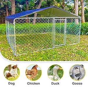 Outdoor-Dog-Kennel-with-Roof-Dog-House-Steel-Fence-with-Waterproof-UV-Resistant-Cover-Dog-Enclosures-for-Backyard-Farm-Use98-98-56FT - Cucciolini Doodles   Outdoor-Dog-Kennel-with-Roof-Dog-House-Steel-Fence-with-Waterproof-UV-Resistant-Cover-Dog-Enclosures-for-Backyard-Farm-Use98-98-56FT