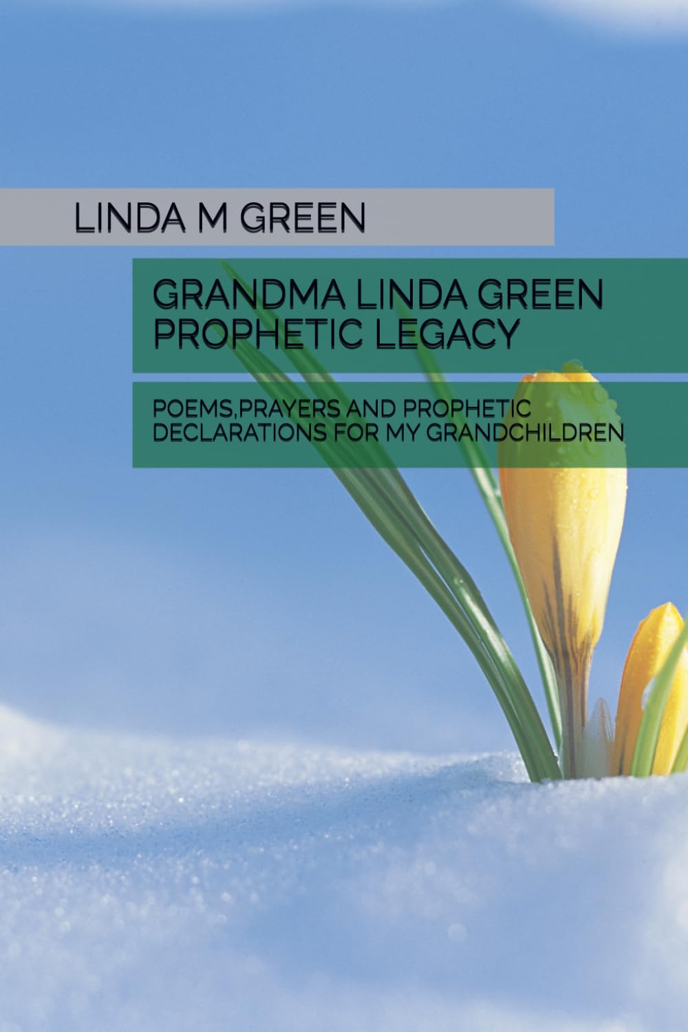 Grandma Linda Green Prophetic Legacy: Poems Prayers and Prophetic Declarations for My Grandchildren