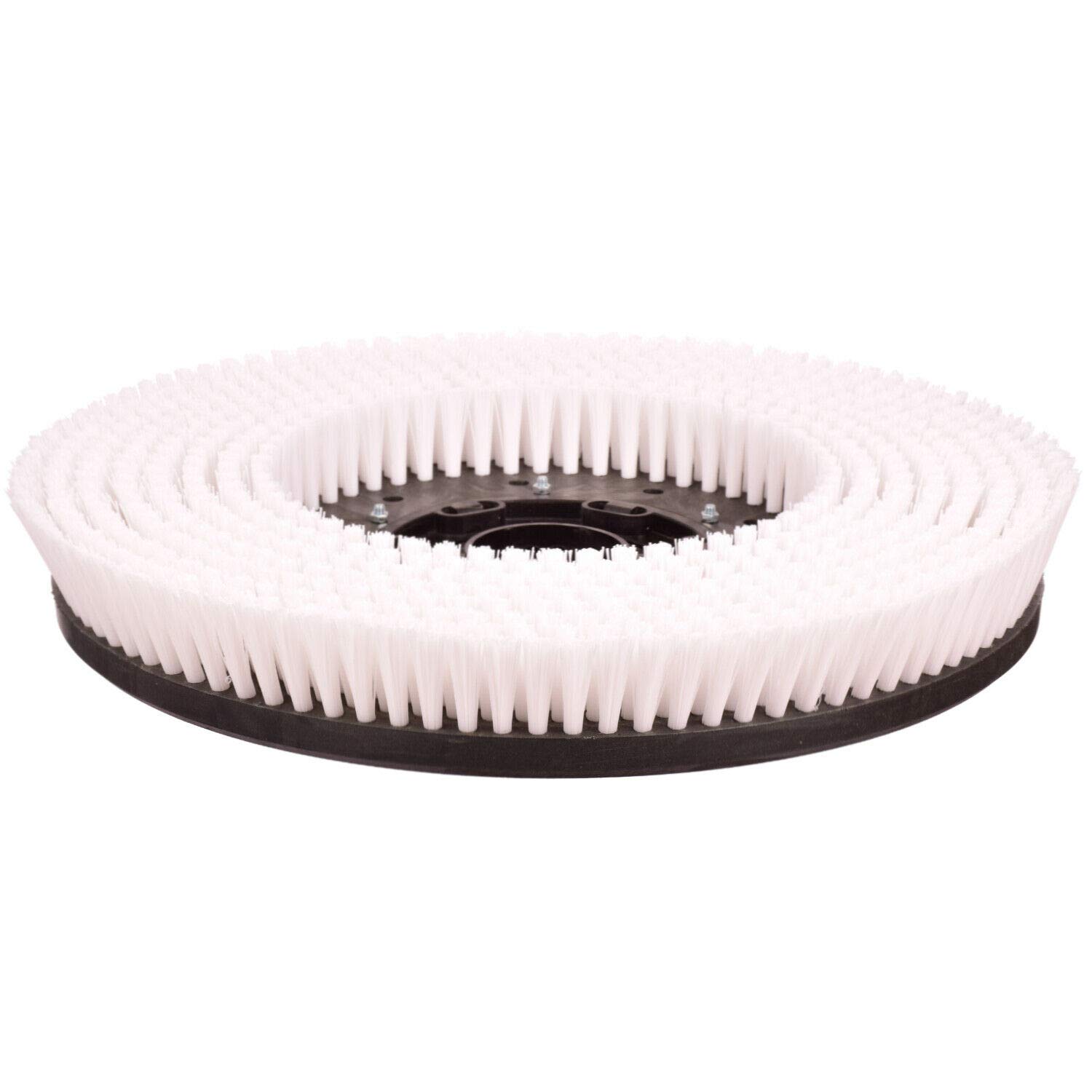 Cepillo para HAKO B 90, 120, B 1050, B 910, B 1500, B 900 – Cepillo para platos de 430 mm de dureza media, cepillo de champú