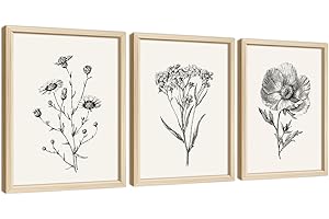 Framed Flower Wall Art - Botanical Sketch Floral Wall Prints