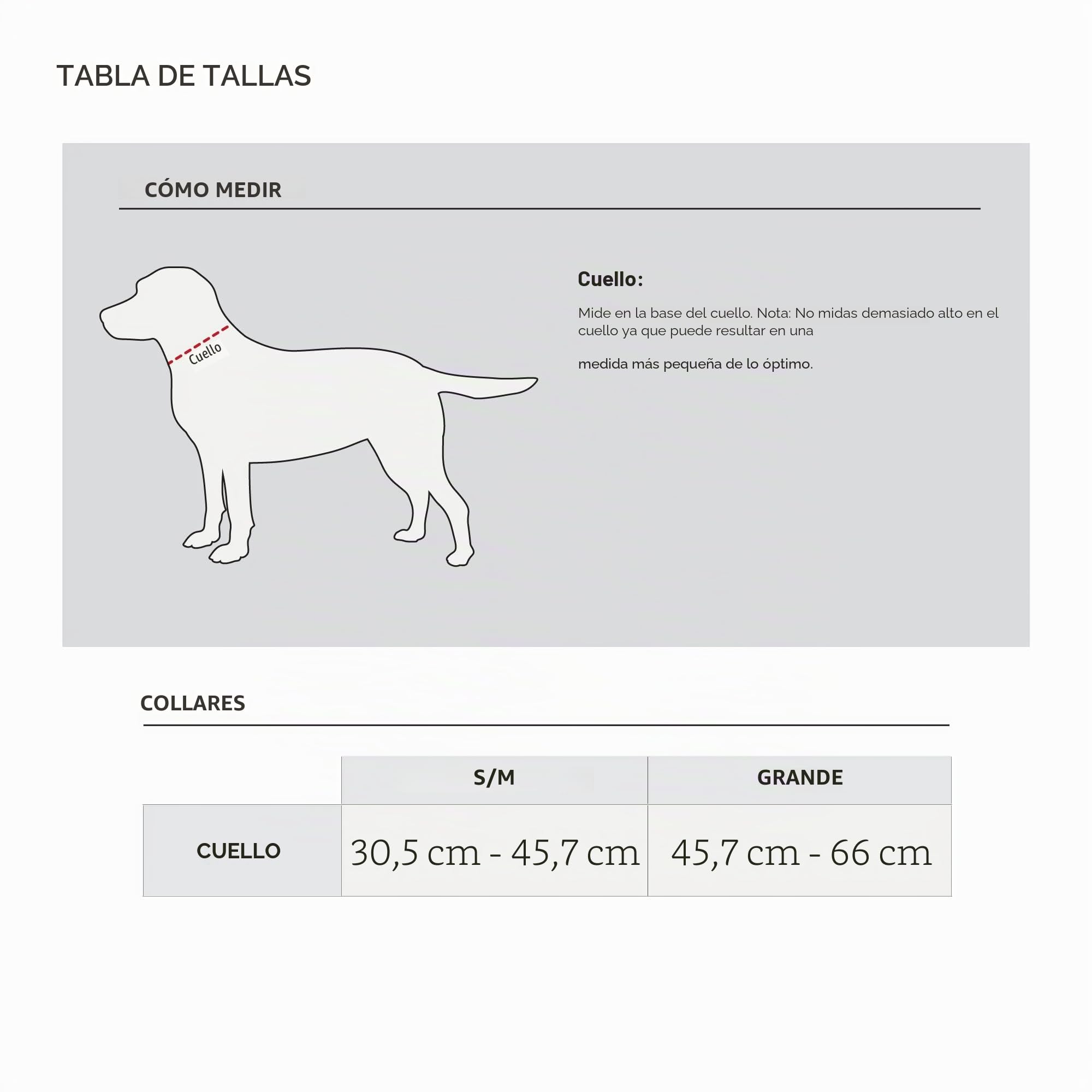 Carhartt Collar de Nailon para Perro, Color Azul Marino, Talla L