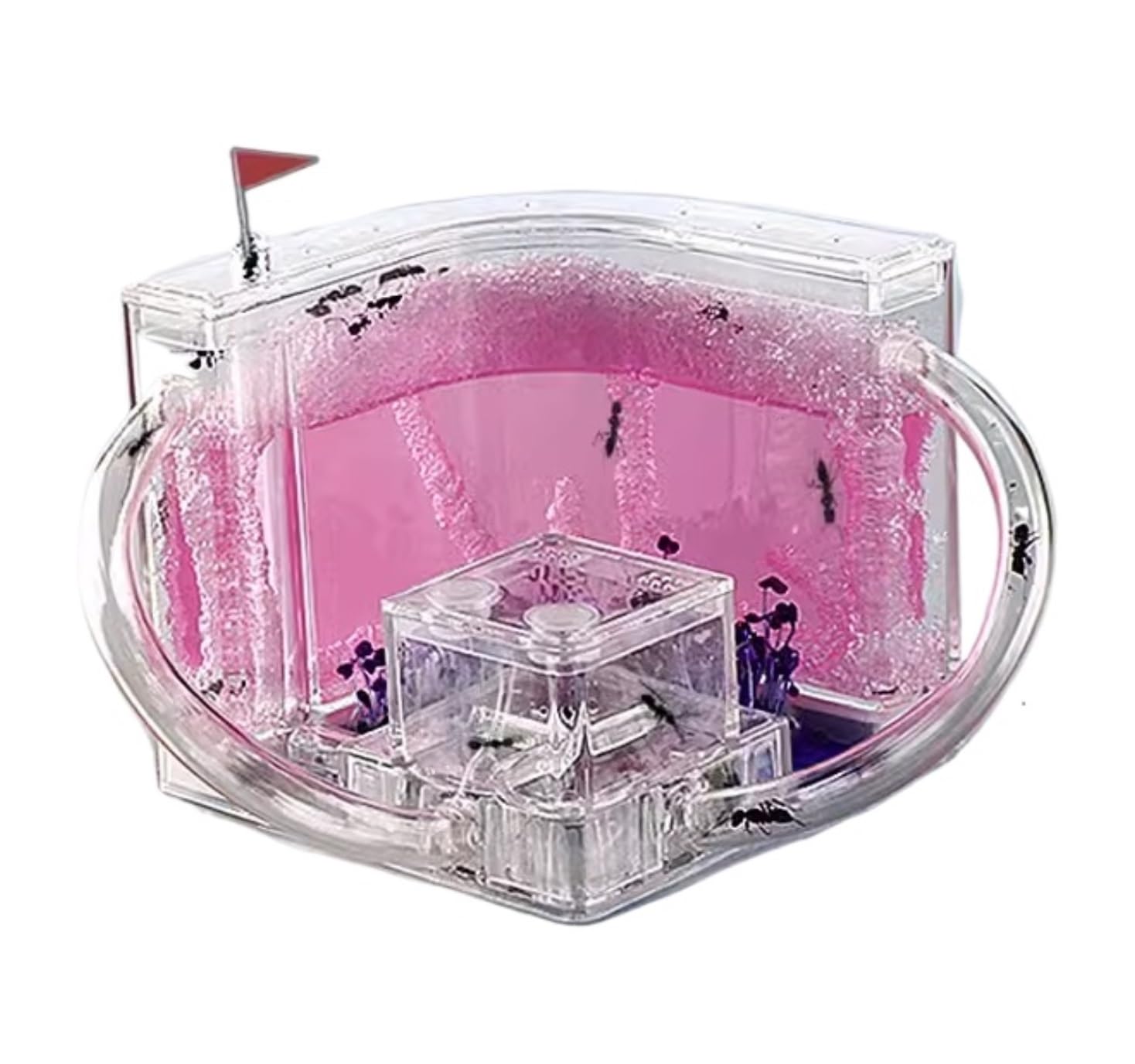 Ant Formicarium Zamek Mrówek Studio Siedlisko Farma Zestaw Do Edukacji I Nauki Nauka Gniazdo Mrowiska(Pink)