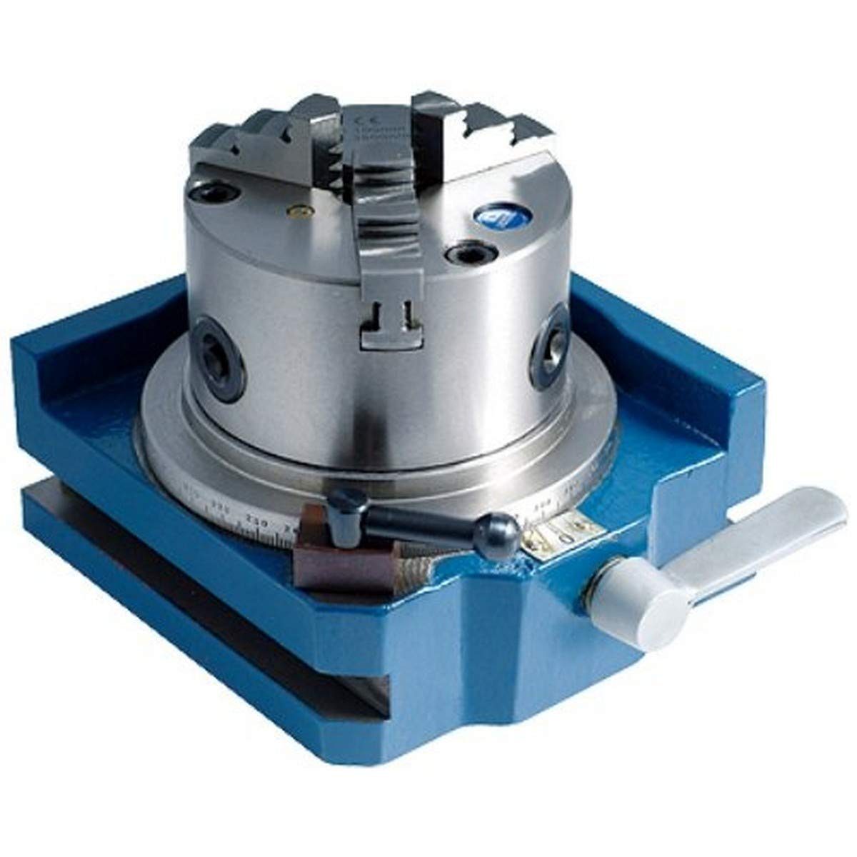 B●scientifica　306-14-4 Mixed Blue-Green Algae, w.m. Microscope Slide | Carolina