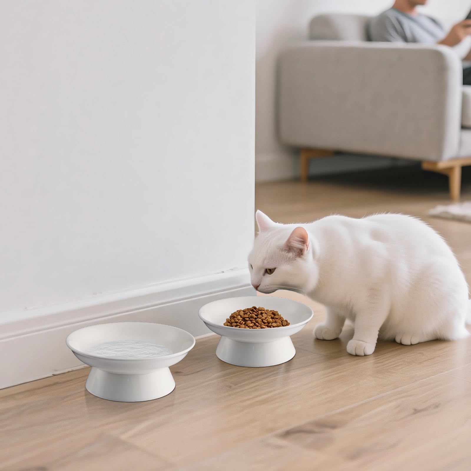 Ciotole Rialzate per Gatti in Ceramica 15,3 cm 2 Pezzi Anti Vomito con Supporto Lavabili in Lavastoviglie Bianco