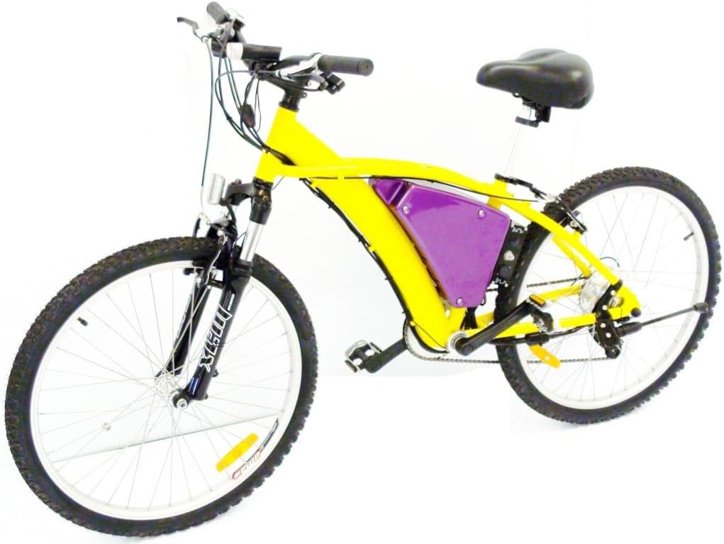 International Surrey Company Volt Electric Bicycle