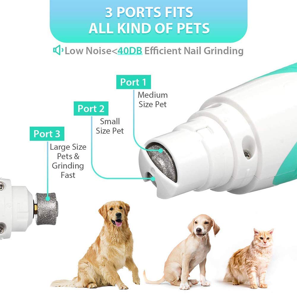 Smerigliatrice per Unghie per Cani, tagliaunghie per Animali Domestici tagliaunghie per Cani e Gatti di Taglia Piccola e Media con tagliaunghie per Cani