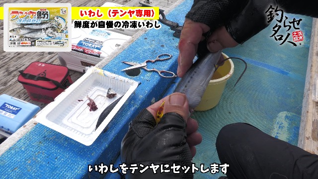 Amazon | 〈冷凍釣りエサ〉浜市［HAMAICHI］いわし[テンヤ用] (生