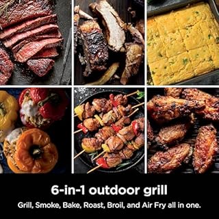 Ninja Woodfire Outdoor Grill & Smoker, 6-in-1 Functionality, Grill, Smoke, Bake, Roast, Air Fry, Broil, Authentic Woodfire Flavors, Electric Heat, OG321