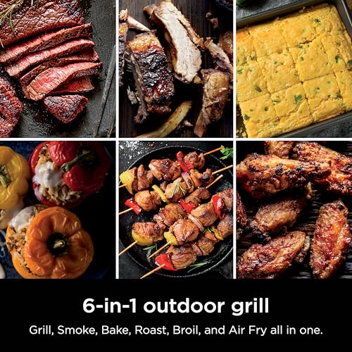 Image of Ninja Woodfire Outdoor Grill & Smoker, 6-in-1 Functionality, Grill, Smoke, Bake, Roast, Air Fry, Broil, Authentic Woodfire Flavors, Electric Heat, OG321